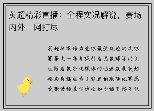 英超精彩直播:全程实况解说,赛场内外一网打尽 英超精彩直播:全程实况解说,赛场内外一网打尽
